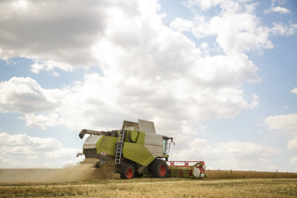 istock Working combine harvester in a wheat field. Agricultural background. 826497164