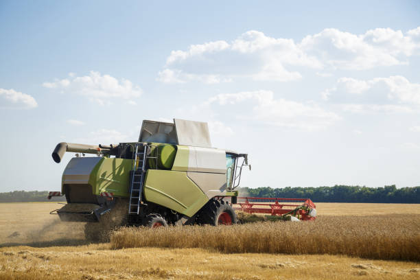 istock Working combine harvester in a wheat field. Agricultural background. 826501136