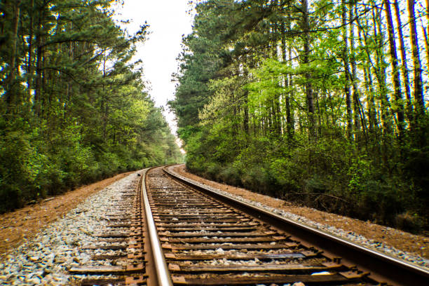 A view of rural railroad tracks outside of Houston, Texas, USA during springtime