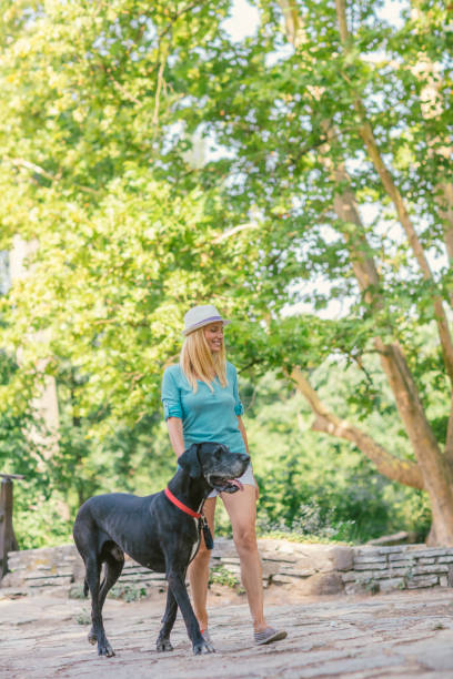 istock Woman with her dog in park 826508642