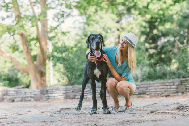istock Woman with her dog in park 826508784