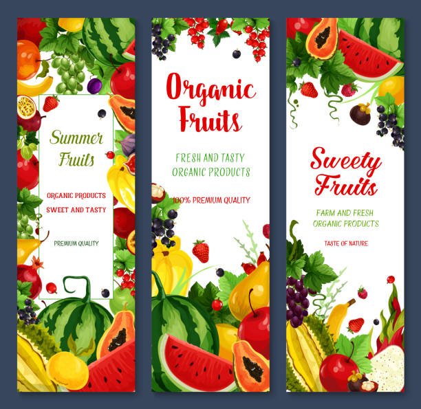 wektorowe banery z owoców tropikalnych lub świeżych jagód - strawberry mangosteen agriculture banana stock illustrations
