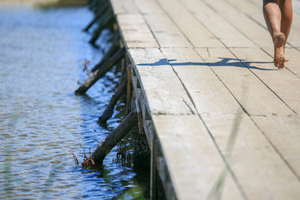 passerelle en bois sur un lac - plank boardwalk pontoon bridge summer photos et images de collection