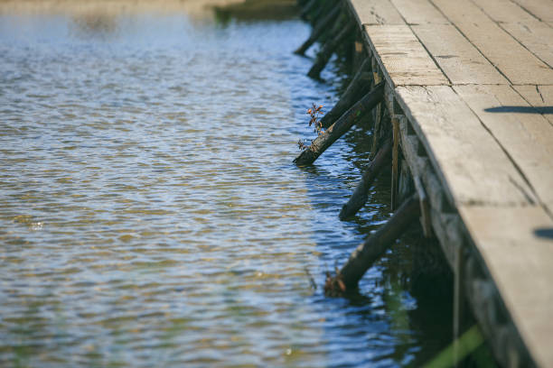 passerelle en bois sur un lac - plank boardwalk pontoon bridge summer photos et images de collection