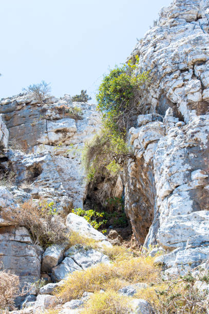 istock Socotra Archipelago, UNESCO World Heritage 826512588