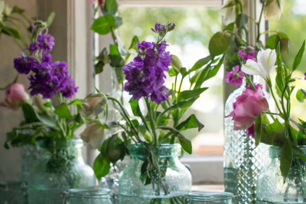 istock Jars of flowers on windowsill 826519544