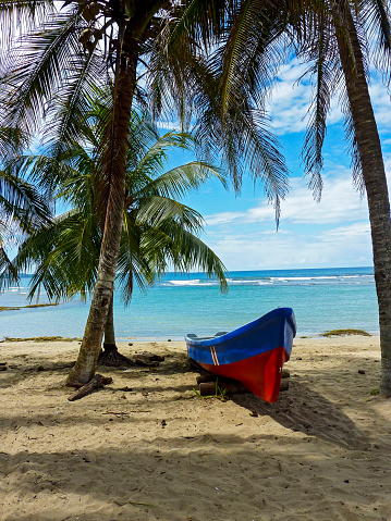 Boat on a tropical beach with coconut tree and the Caribbean sea in background, Puerto Viejo de Talamanca, Costa Rica, Central America