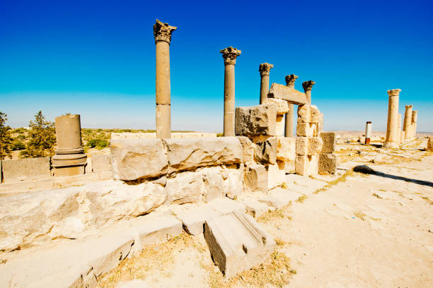 Massadio Haïdara Fotos Banco de Imagens e Fotos de Stock iStock