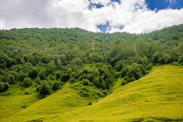 istock Beautiful nature and mountains panoramic view 826536826