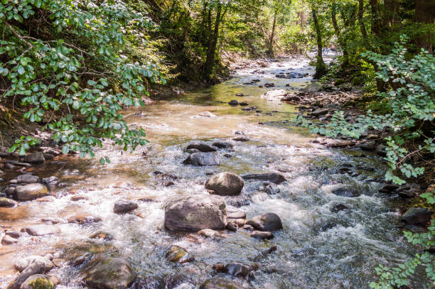 istock Borjomi river in Georgia 826538470