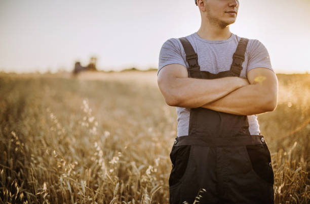istock Farmer controlled harvest in his field 826544190