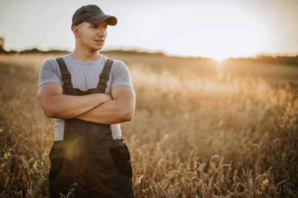 istock Farmer controlled harvest in his field 826544280