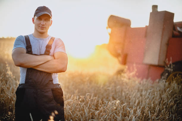 istock Farmer supervises harvest 826544402