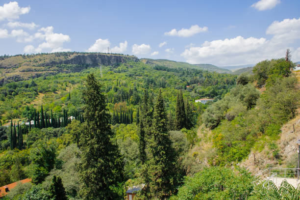 istock Nature of Tbilisi 826544964