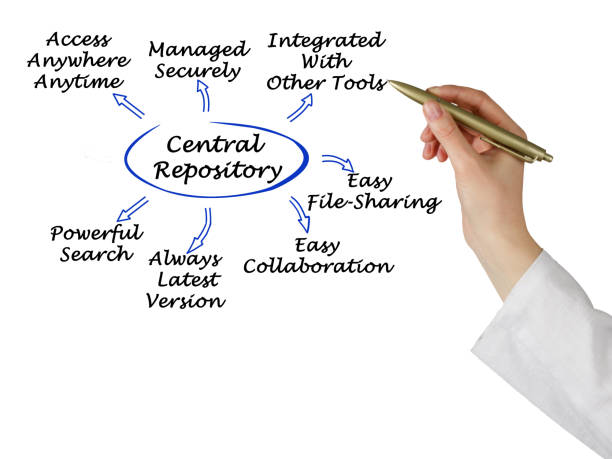 istock Diagram of central repository 826551392