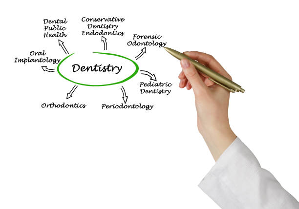 istock Diagram of Dentistry 826552652