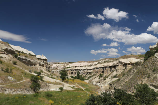 istock Pigeons Valley in Cappadocia 826557322