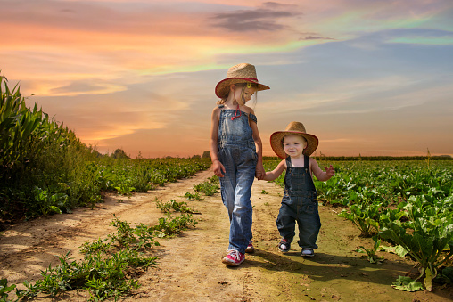 cowboy siblings walking in the fields at sunset