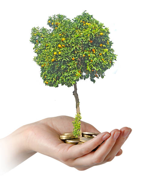 istock Investment to agriculture 826559836