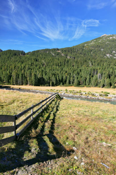 istock Shadow of the low fence lie on grass 826560322