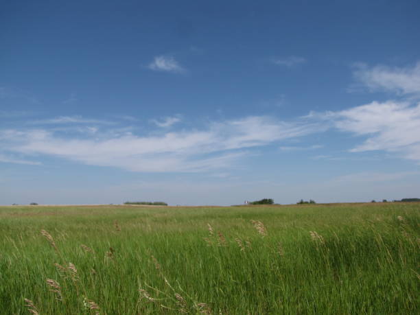 praries - saskatchewan saskatoon field prairie stock-fotos und bilder