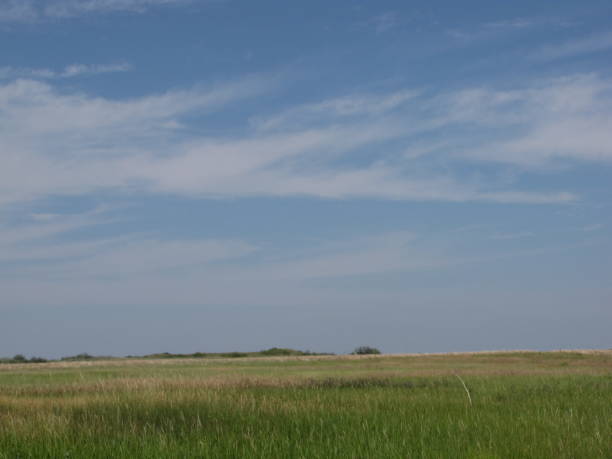 forestaciones - saskatoon saskatchewan prairie field fotografías e imágenes de stock