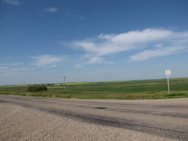 praterie - saskatoon saskatchewan prairie field foto e immagini stock