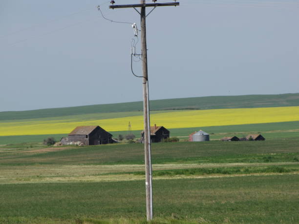 praterie - saskatoon saskatchewan prairie field foto e immagini stock