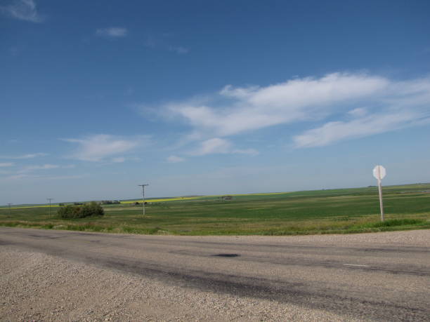 prärie - saskatchewan saskatoon field prairie stock-fotos und bilder