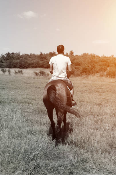 man riding horse - serbia horse nature landscape imagens e fotografias de stock