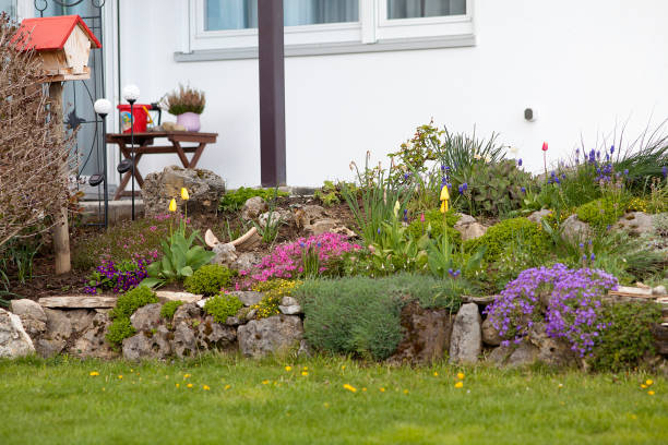istock Garden with flowers at home 826564764