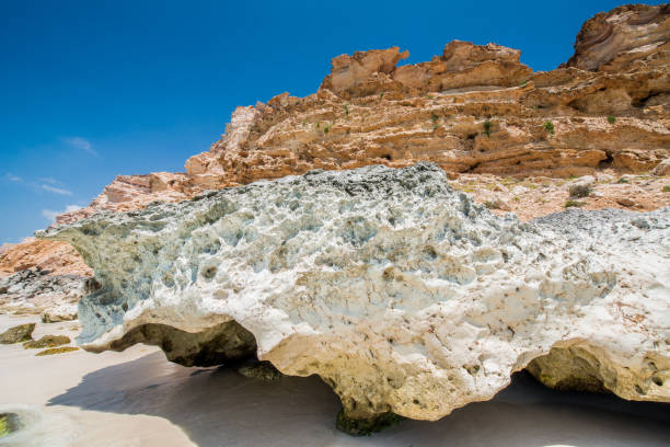 istock Stone on the coast of the ocean 826568328