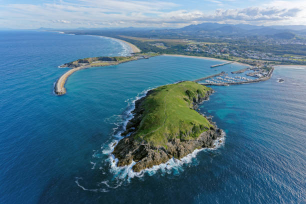 istock Muttonbird Island looking south-west 826573804