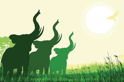 African Safari background with trumpeting elephants.