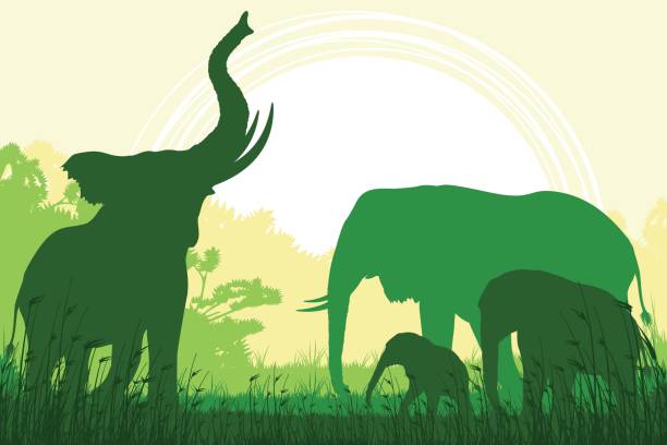 illustrations, cliparts, dessins animés et icônes de fond de safari africain avec des barrissements d’éléphant, mère de l’éléphant et ses mollets - trumpeting