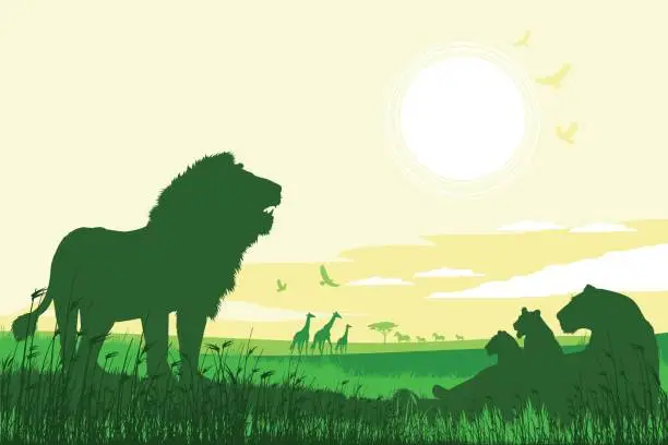 Vector illustration of African Safari background with roaring Lions, Lioness, cubs and Giraffes