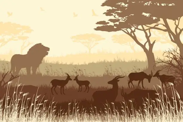 Vector illustration of African Safari background with roaring Lion and antelopes