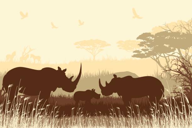 rhino の家族と一緒にアフリカのサファリの背景 - rhinoceros点のイラスト素材／クリップアート素材／マンガ素材／アイコン素材