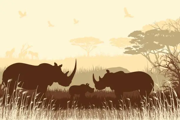 Vector illustration of African Safari background with Rhino family