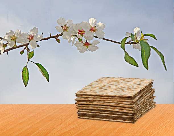 gros plan de matsa carré - seder passover seder plate matzo photos et images de collection