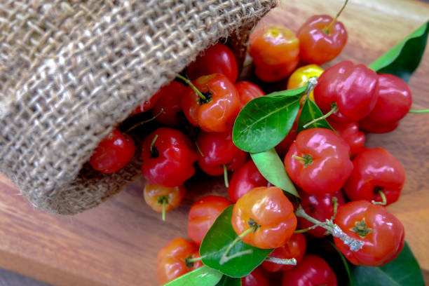 istock Acerola fruit close up on background 826589340