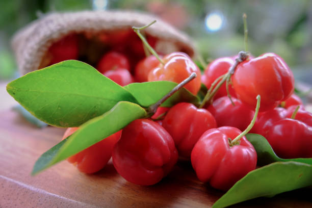 Acerola fruit close up on background