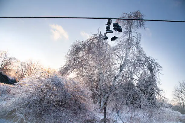Photo of Frozen Shoes on a line are covered in ice from an ice storm. The ice covers them and trees with a thick layer, showing a cold winter scene.