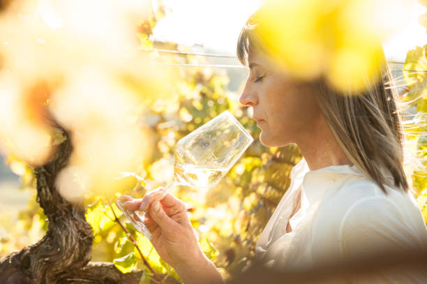 Female Winemaker with Glass of White Wine in Vineyard stock photo