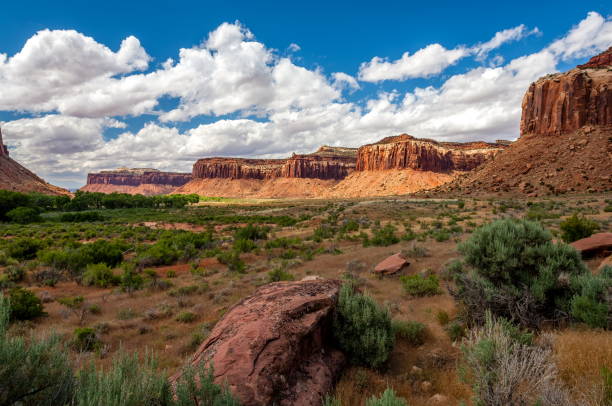 istock Canyonlands National Park, Utah-USA 826595208