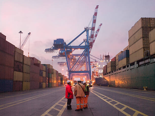 operai parlano in un giardino di spedizione - cargo container derrick crane crane freight transportation foto e immagini stock