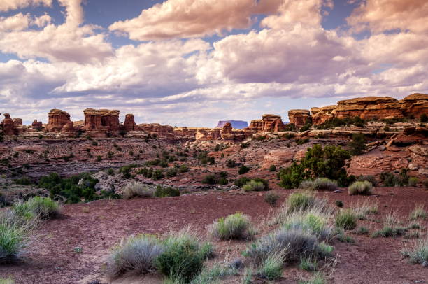 istock Canyonlands National Park, Utah-USA 826597554