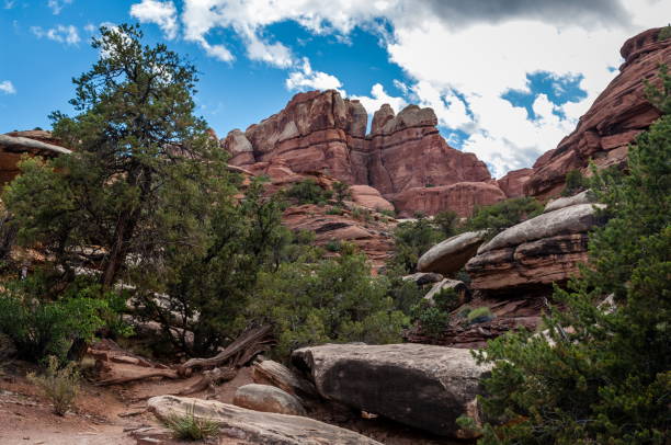 istock Canyonlands National Park, Utah-USA 826597778