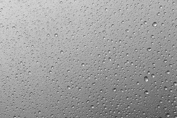 Photo of abstract water drops on a silver background.water drops on metal silver background texture