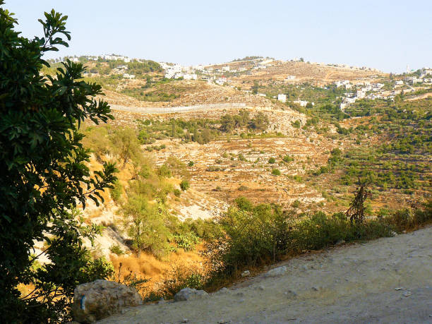 istock hiking in the nature 826605632